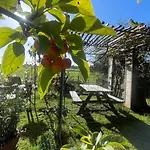 Apartment De Bommelerhoeve & Vakantiewoning *