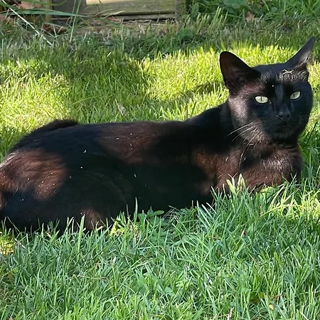 De Bommelerhoeve & Vakantiewoning