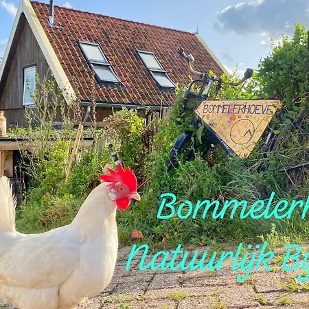 De Bommelerhoeve & Vakantiewoning Dirkje *
