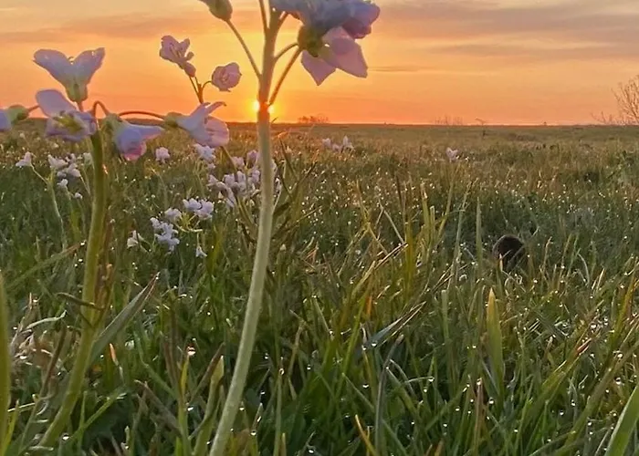 De Bommelerhoeve & Vakantiewoning