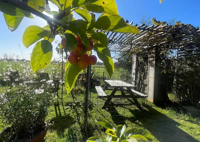 Lägenhet De Bommelerhoeve & Vakantiewoning *