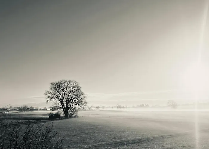 De Bommelerhoeve & Vakantiewoning Lägenhet