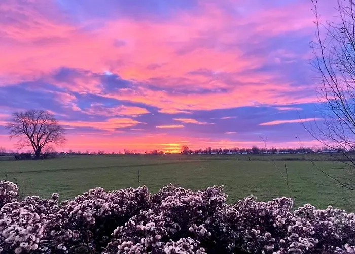 De Bommelerhoeve & Vakantiewoning