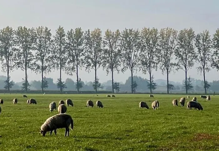 De Bommelerhoeve & Vakantiewoning Lägenhet