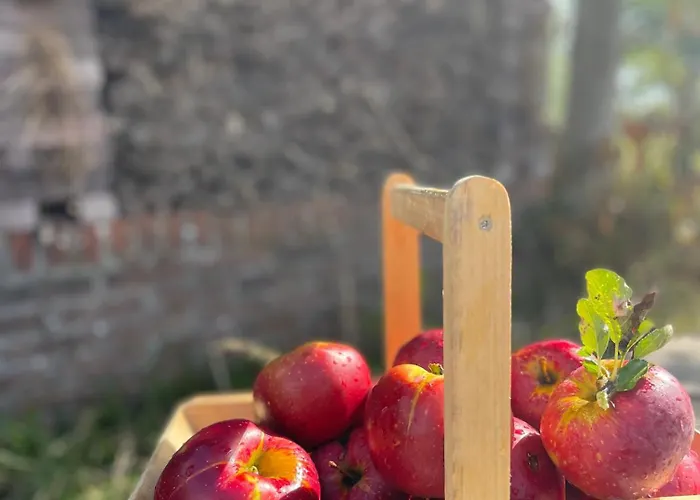 De Bommelerhoeve & Vakantiewoning Lägenhet Poederoijen