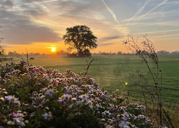 De Bommelerhoeve & Vakantiewoning Poederoijen