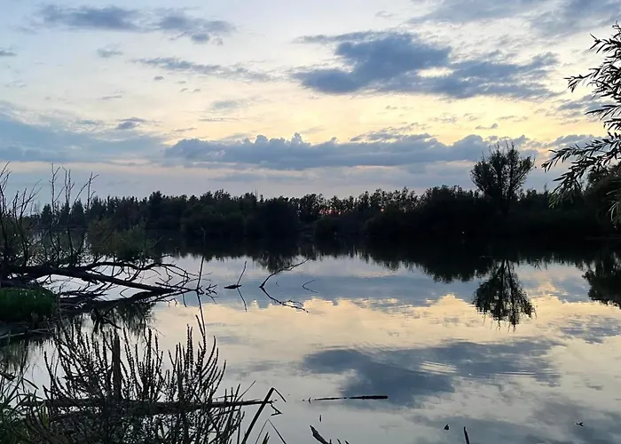 De Bommelerhoeve & Vakantiewoning Lägenhet