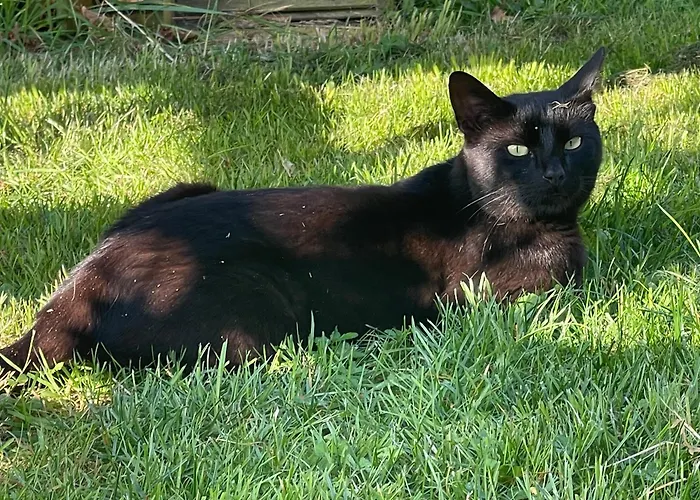 De Bommelerhoeve & Vakantiewoning