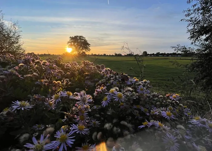 De Bommelerhoeve & Vakantiewoning * Poederoijen