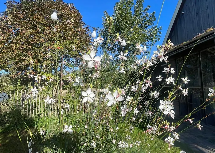 De Bommelerhoeve & Vakantiewoning Lägenhet *