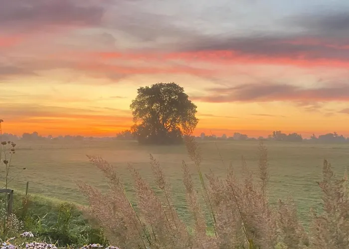 De Bommelerhoeve & Vakantiewoning * Poederoijen