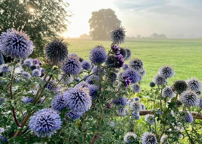 De Bommelerhoeve & Vakantiewoning Lägenhet Poederoijen