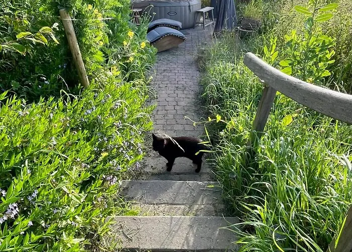 De Bommelerhoeve & Vakantiewoning Lägenhet