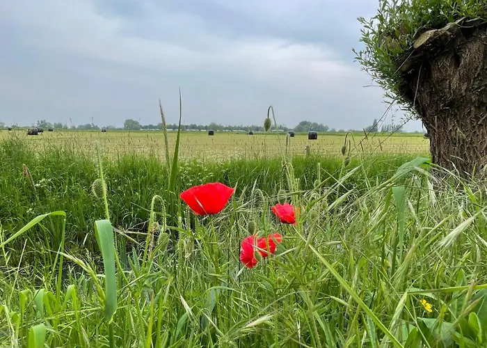 Lägenhet De Bommelerhoeve & Vakantiewoning