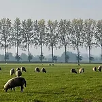 De Bommelerhoeve B&b&vakantiewoning Appartement