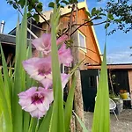 De Bommelerhoeve B&b&vakantiewoning * Poederoijen