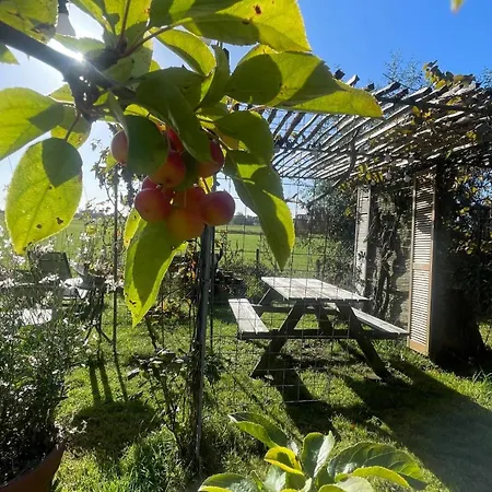 아파트 De Bommelerhoeve & Vakantiewoning Dirkje *