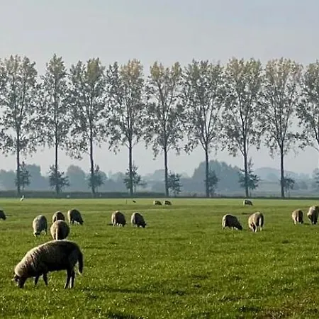 De Bommelerhoeve & Vakantiewoning Dirkje 아파트