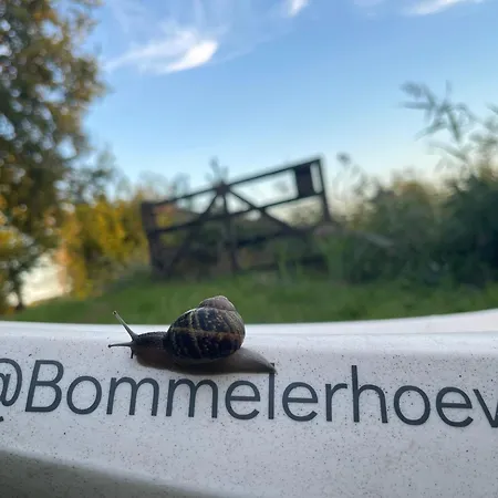 De Bommelerhoeve B&b&vakantiewoning