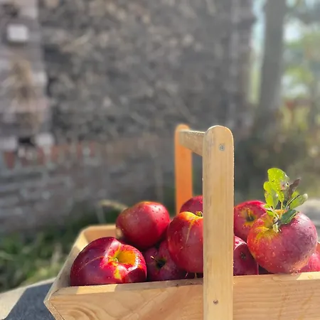 De Bommelerhoeve & Vakantiewoning Dirkje 아파트 Poederoijen