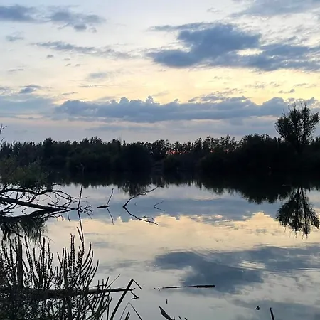 De Bommelerhoeve & Vakantiewoning Dirkje 아파트