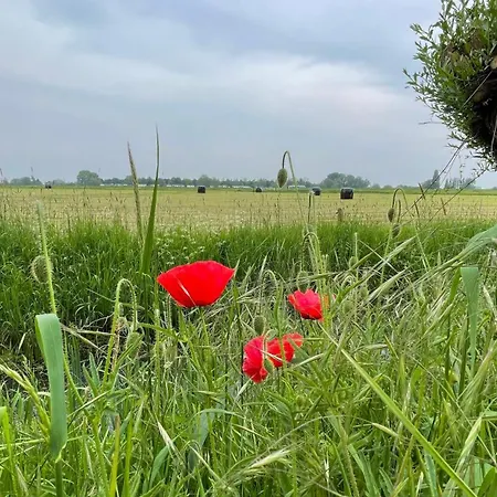 아파트 De Bommelerhoeve & Vakantiewoning Dirkje