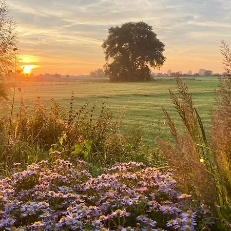 De Bommelerhoeve & Vakantiewoning Dirkje 아파트 *